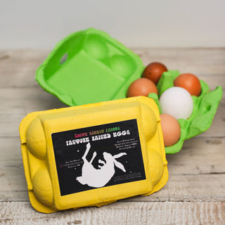 pasture raised eggs in yellow egg container with a green egg container behind it
