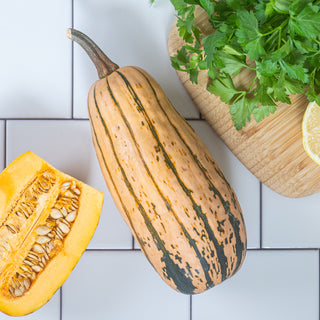 Organic Delicata Squash