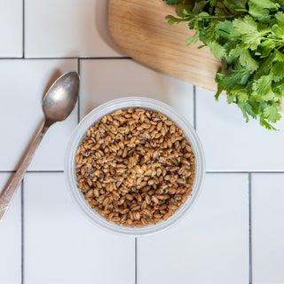 Cooked emmer farro in a reusable container with a spoon